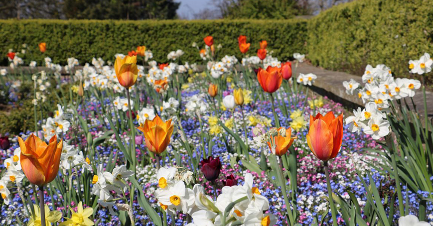 <strong>Easter Activities in the UK</strong> 860 Easter Events to Watch Out For blog landing desktop 2 - Zilch